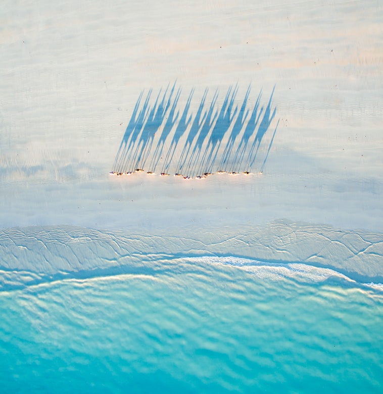 Long Shadows by the Beach