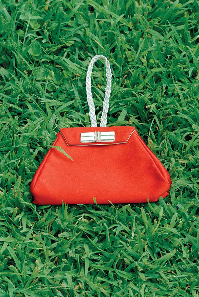 Red purse in green grass